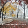 이송 - Autumn, blooming the last flower