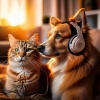 Binaural Beats Focus、Pet Sound Therapy、Pet Music! - Layered Pet Harmony