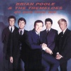 Brian Poole & the Tremeloes - Twist Little Sister