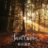 Secret Garden - The Promise