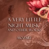 Haruna Shinoyama、Neža Klinar、Philipp Comploi、Florian Birsak - Mozart: Serenade in C Major, K. 648 