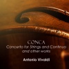 venice baroque orchestra、Andrea Marcon - Vivaldi: Concerto for Strings and Continuo in B flat, R.163 