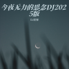 DJ尼保 - 今夜无力的思念DJ2025版