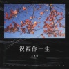 王寅观 - 祝福你一生