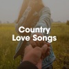 Brett Young - In Case You Didn't Know