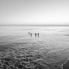 gaunt - MLV