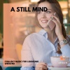 SHALMOLINI - Anything You Want (Original Mix)