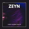 Zeyn - I Don't Wanna Give Up