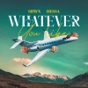 SHWN、Dessa - WHATEVER YOU LIKE (feat. Dessa & VS)(Explicit)