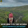 Molvi Nasratullah Nasrat - Da Cha Zargy Jorezhi