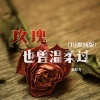 贾晓龙 - 玫瑰也曾温柔过 (DJ默涵版)