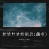 程晓明(Tony) - 醉情醉梦醉相思 (Live)
