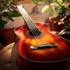 Relaxing Music House、Relaxing Music Group、Guitar Diary. - Gentle Guitar Hum