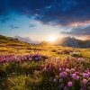 Fuente binaural、Relajantes sonidos de lluvia、Sonidos Relajantes de la Naturaleza by Beneluxa - Sonidos Armoniosos Y Tranquilos