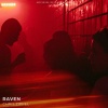 Chris Zippel - Raven