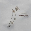 Devon Hayes - Animus Pt 2
