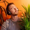Música de la Naturaleza、El colectivo de la selva tropical、El Proyecto Naturaleza - Líneas De Armonía De Lofi