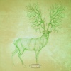 Camoflash - Flexible Impulses