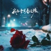 王振宇 - 我在雪里看玫瑰