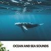 Dog Relaxation、Ocean Sounds FX、Music for Working - Tranquil Tides