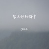 金钰儿 - 留不住的诺言