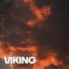 shyknoxly the-spartan - Viking