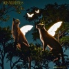 Aspen Arctic、dreamsoda、Lexz - Footsteps on the trail