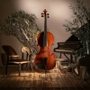 Happy Playlisted Music、Relaxatron、Relaxation Vibes - Strings Beyond Harmony