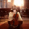 Music For Plants、Relaxation Meditation and Spa、Meditation Solfeggio Tones - Inner Focus Orchestra