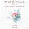 FLYJNT、DJ Cocodil - Harbor (Original Mix)