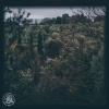CMJ - Nectar