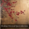 Japanese Relaxation and Meditation、Asian Zen Meditation、Healing Oriental Spa Collection - Spirit of the Samurai
