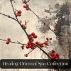 Japanese Relaxation and Meditation、Asian Zen Meditation、Healing Oriental Spa Collection - Red Lantern Serenity