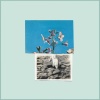 Message to Bears - Half Light