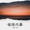小姨和小姨夫 - 催婚风暴