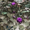 Luis Leon、Unseener - Floating Tron