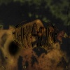 Thylacine - SOIL (Explicit)