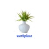 Workplace - katie
