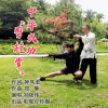 刘晓伟 - 中华武功“劈挂掌”