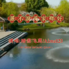 踏雪飞鹰 - 谁不说俺家乡好