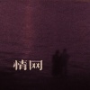 岩贵 - 情网