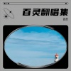 百灵 - 姐最拽DJ伴奏