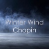 nikita magaloff - Chopin: 12 Etudes, Op. 25: No. 11 in A Minor 