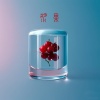 罗文X - 浆果 (英文版)