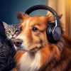 Ethereal Isolation、Music for Pets Moments、Pet Lover TA - Structured Pet Harmony