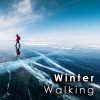 Thomas Newman - Rain Hammers (From 