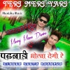 Manraj Meena Diwara、Pavan - Padawali Duco Degi Re