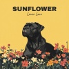Corse Cane - Sunflower
