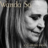 ricardo silveira、Wanda Sá、ivan lins - Rio de Maio