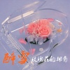 醉雪 - 玫瑰花的拥有
